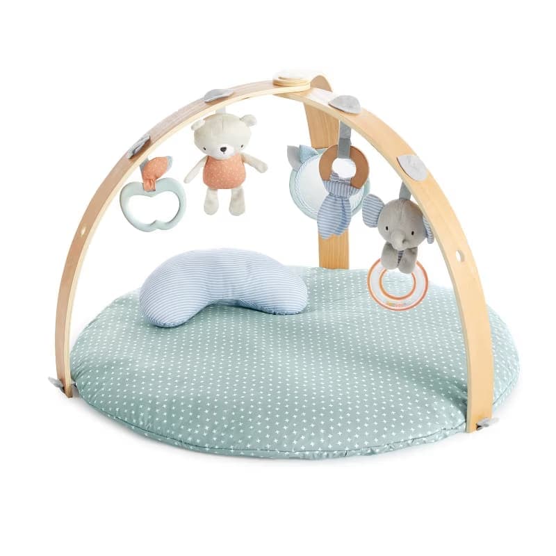 Ingenuity SimpleComfort Cradling Swing - Everston